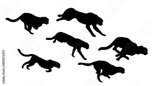 Silhouette sequence of a running cheetah. Vector illustration isolated on white background.
