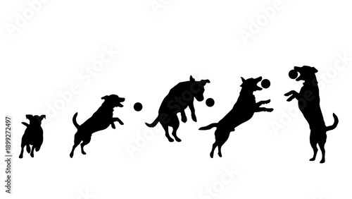 Silhouette sequence of a dog catching a ball. Vector illustration isolated on white background.
