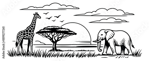 Line art illustration of safari animals and landscape depicting a giraffe, elephant, and acacia tree under a sunset for nature and adventure themes