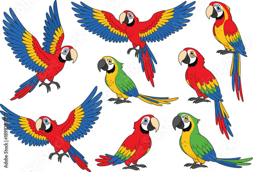 Colorful macaw parrot set with flying and standing poses in vibrant flat cartoon vector style