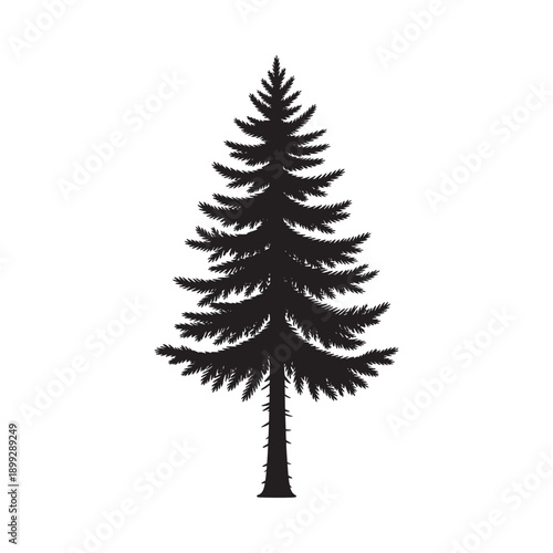 Simple black silhouette of a coniferous evergreen tree against a white background