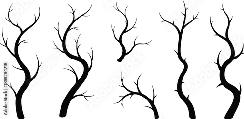 Twisted Bare Tree Silhouette Set With Curved Leafless Trunks And Branches In Black Winter Vector Illustration