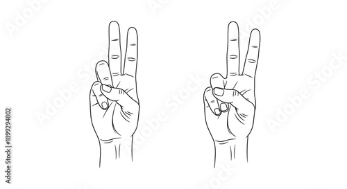 Minimalist line drawing shows two human hands both performing the peace or victory sign with two fingers raised against a white backdrop.