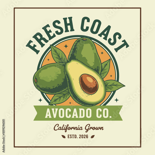 Fresh coast, Avocado co. Avocados Vintage woodcut engraving style vector illustration. hand drawn print design. Avocado vegetable artwork for t shirt print. vintage retro graphics avocado tee shirt. S