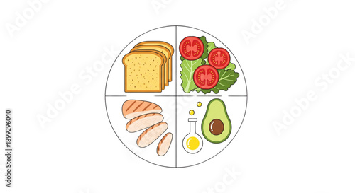A vector graphic illustration of a divided plate with healthy food groups
