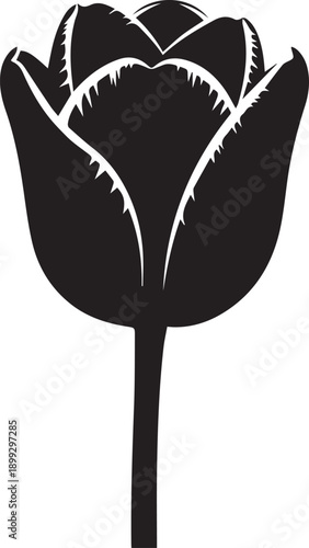 Black tulip silhouette