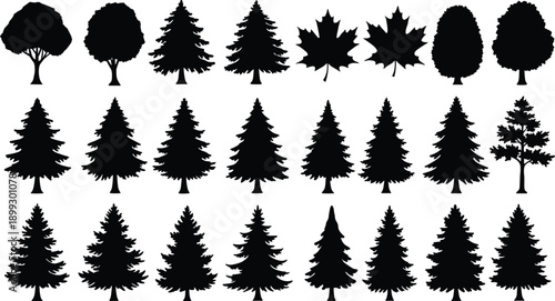 Tree silhouette collection, leaf shapes, coniferous and deciduous forms, botanical icons, forest elements, nature graphics, black vector set, minimal design