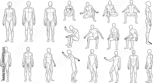 Male human anatomy figure poses reference set front side back views standing sitting gestures drawing artists medical illustration template collection