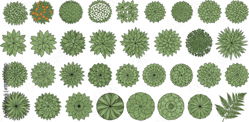 Top view green plants foliage collection flat vector illustration garden landscape design elements botanical set, overhead nature leaves icons bundle