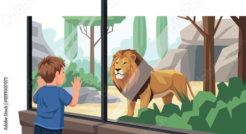 Young boy watching lions through glass wall in safari zone with rocks and plants, showing curiosity, wildlife discovery, and educational zoo tourism in modern flat vector illustration