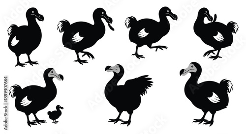 A collection of dodo bird silhouettes in various poses perfect for design projects on transparent background high quality professional detailed modern