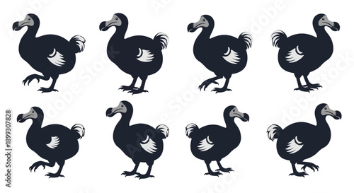 A collection of five dodo bird silhouettes arranged in a grid ideal for design projects on transparent background high quality professional