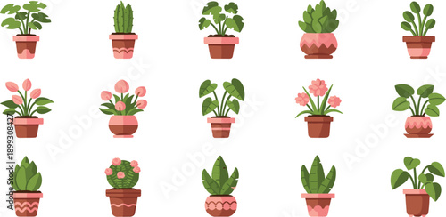 Flat Design Potted Plants and Flowers Collection houseplants foliage