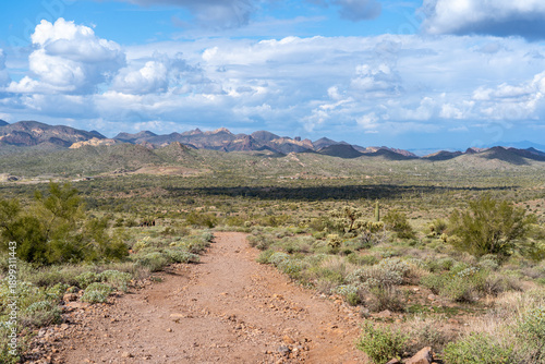 Trail at Superstition Mountains in Lost Dutchman State Park in Arizona