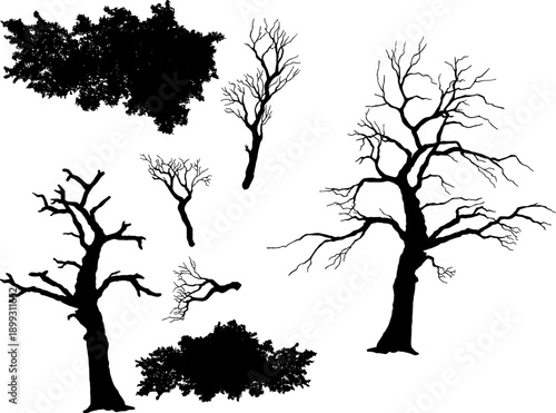 High-quality vector silhouette set featuring a diverse range of tree forms and forest elements. This collection includes meticulously detailed silhouettes of withered dead trees with intricate bare 