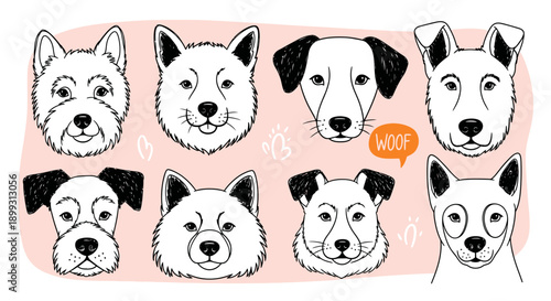 A charming collection of hand-drawn dog faces, showcasing a variety of breeds and expressions against a soft pink background.