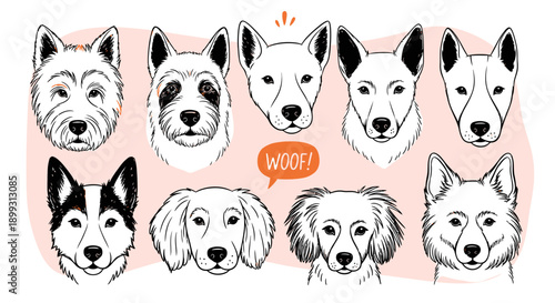 A charming collection of diverse dog breeds, each with unique facial features and expressions, rendered in a delightful hand-drawn sketch style.