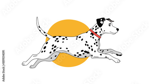Energetic dalmatian dog with black spots and a red collar running across a yellow circular shape on a white background.