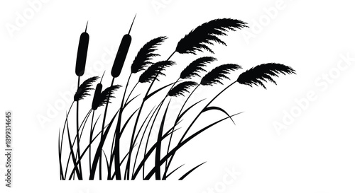 A graceful depiction of cattail plants in black and white providing versatility for design projects on transparent background silhouette high quality