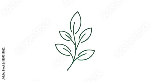 A simple green line drawing of a leafy plant on a white background.