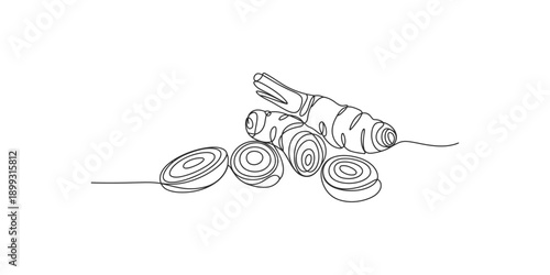 Minimalist single line drawing depicting ginger root and a collection of sliced rhizomes