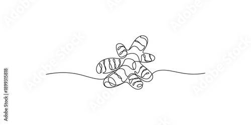 Single line art drawing of a ginger root, a popular spice for health and cooking