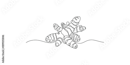 One continuous line art minimalist illustration of ginger root for healthy lifestyle