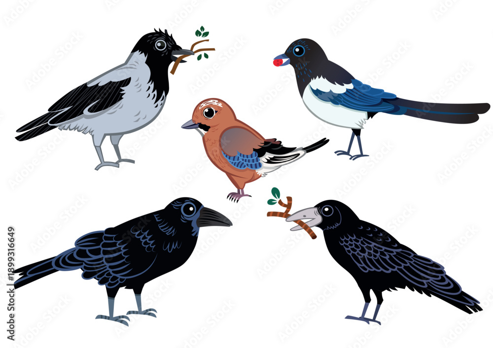 Fototapeta premium Cute Forest Birds Clipart Set – Crow, Raven, Magpie and Songbird Vector Illustrations