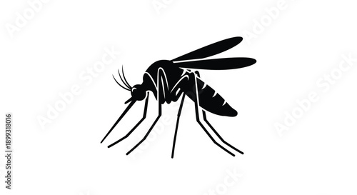 A detailed black silhouette of a mosquito in profile showcasing delicate wings and legs on transparent background high quality professional modern