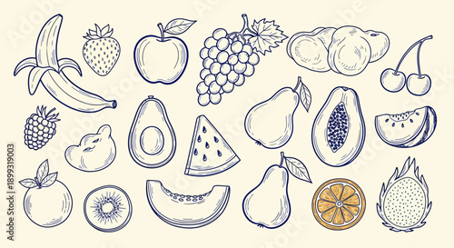 A vibrant collection of hand-drawn fruits, showcasing a diverse array of healthy and delicious produce.