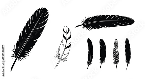 A collection of detailed black feathers in various shapes and sizes ideal for design work on transparent background silhouette high quality
