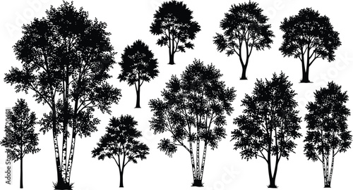 A collection of diverse tree silhouettes showcasing varying shapes and sizes on transparent background high quality professional detailed modern elegant stylish