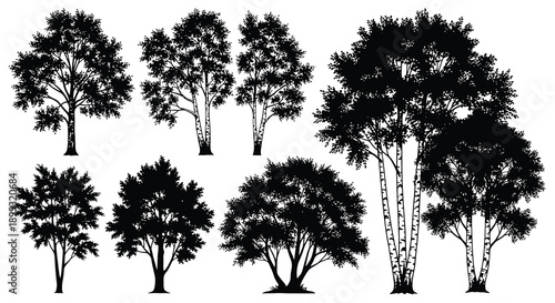 A collection of various tree silhouettes in black showcasing different foliage styles on transparent background high quality professional detailed modern elegant
