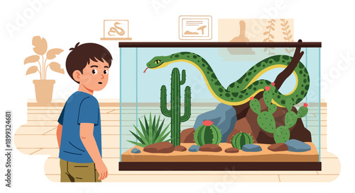 Boy peeking into snake terrarium with desert plants and rocks, showing curiosity, reptile education, and wildlife discovery during zoo visit in modern flat vector illustration