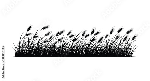 A detailed black silhouette of cattails and grasses against a void ideal for design work on transparent background silhouette high quality