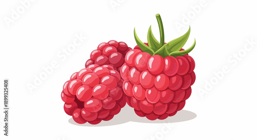 Two vibrant, ripe raspberries with green leaves and a stem on white