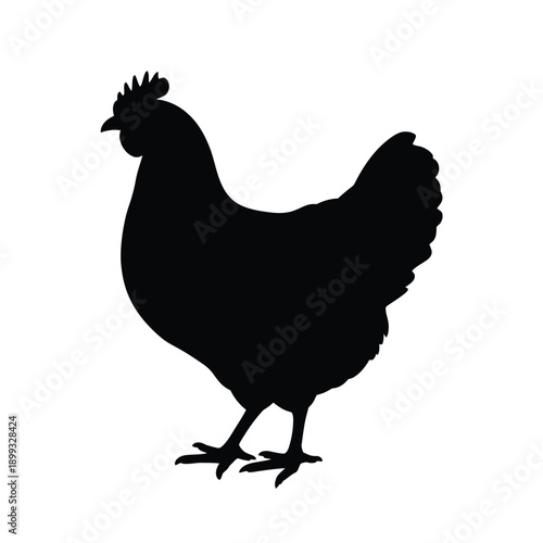 A striking black silhouette of a rooster stands prominently in profile