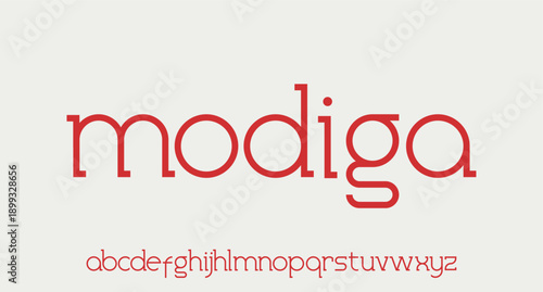 unique vector font alphabet for your brand name wordmark