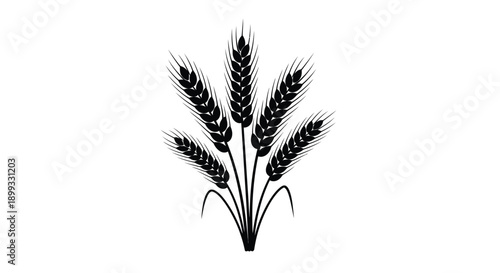A striking black silhouette of wheat stalks and grains