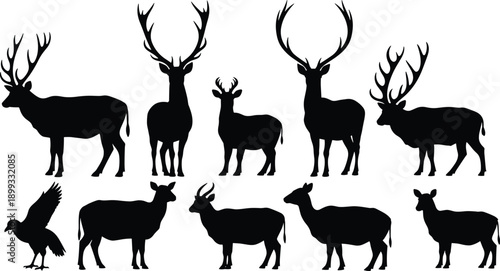 Deer silhouette collection with stag buck doe animals and bird, black wildlife hunting vector set isolated on white