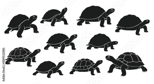 A collection of nine black turtle silhouettes in various poses displayed on transparent background high quality professional detailed modern elegant stylish