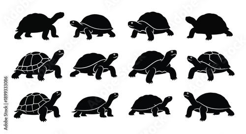 A collection of nine black turtle silhouettes in various poses ideal for design projects on transparent background high quality professional detailed