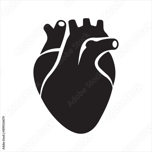 Human heart organ with aorta and arteries flat vector icon for medical health apps and websites