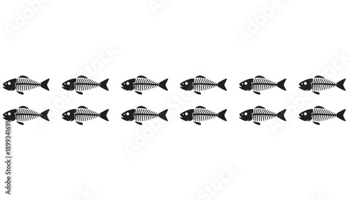 Row of identical fish illustrations facing left in horizontal alignment isolated on white for educational and design use