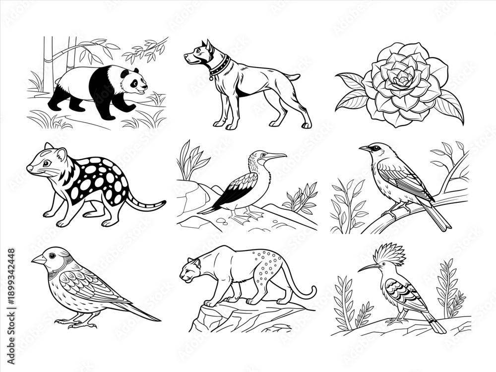 Obraz premium coloring page line art the animal and flower black vector bundle