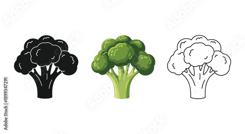 Set of three broccoli icons shown in solid black silhouette, full color illustration, and outline drawing styles