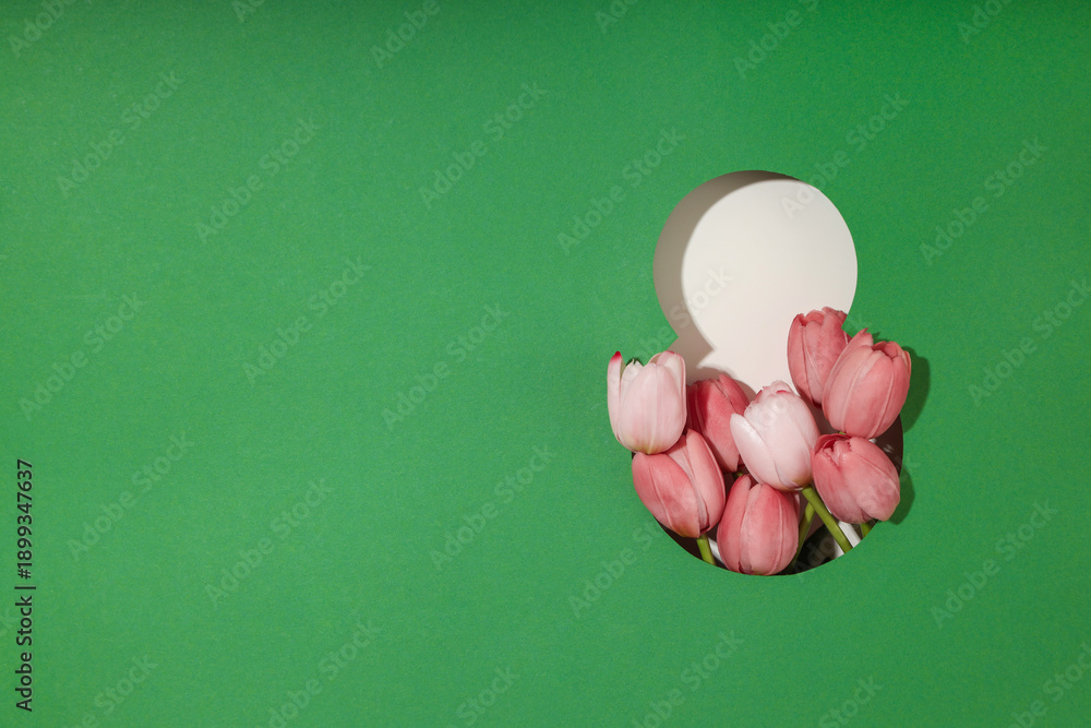 Obraz premium Spring tulips are arranged beautifully to honor women