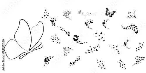 Elegant Butterfly Flight Path Silhouettes with Aesthetic Swirls and Flying Monarch Accents