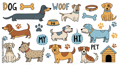 A collection of cute cartoon dogs of various breeds with pet accessories and playful text elements on a white background.