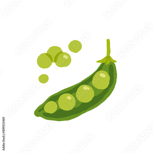 Collection of various vegetables isolated on white background. Healthy vegetarian food. Bundle of organic natural crops, salads, greens and herbs. Colorful vector illustration in flat cartoon style